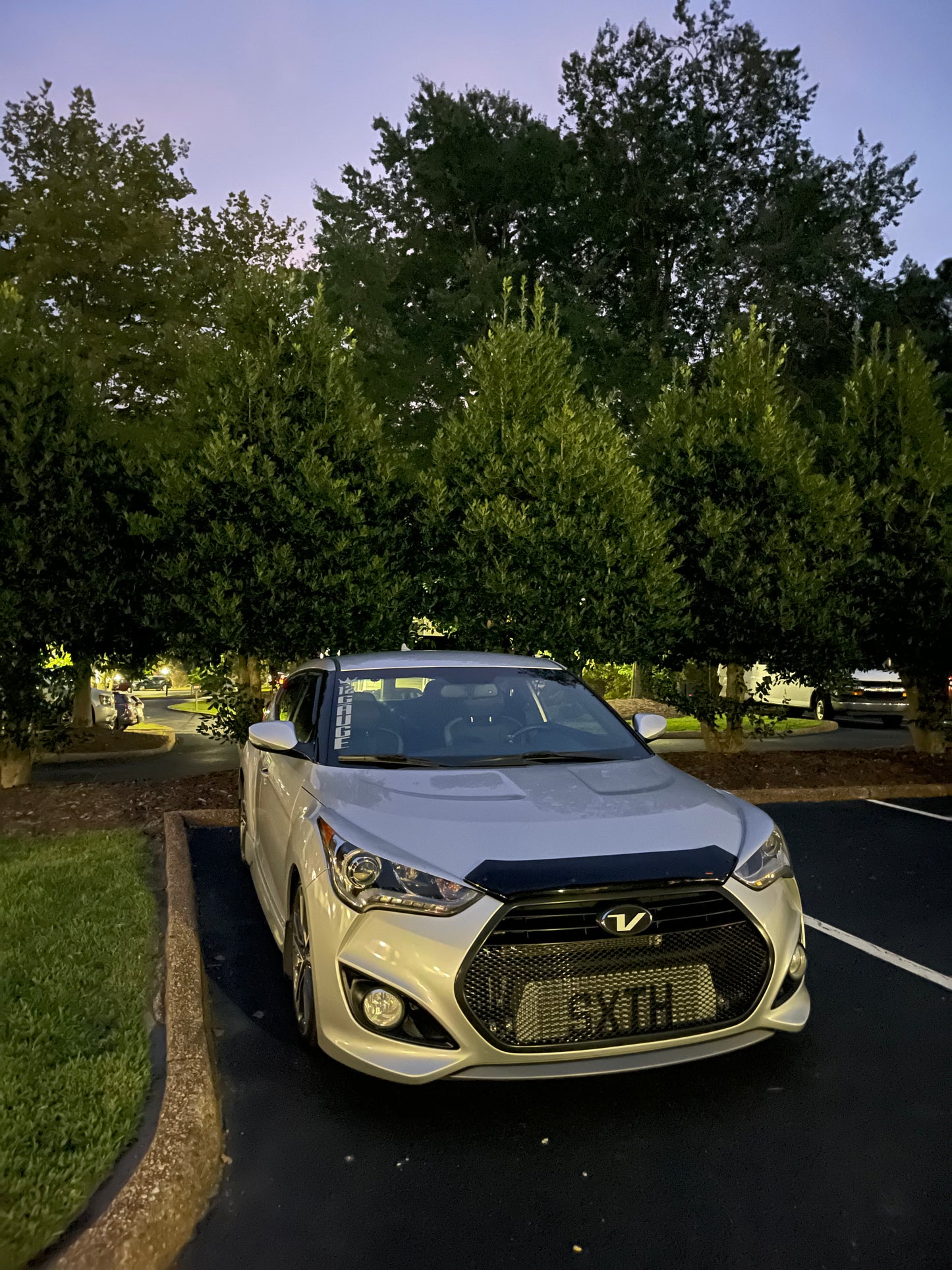 2013-2017 Veloster turbo FMIC grill